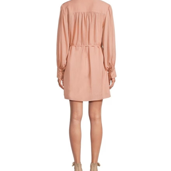 Draped Tie Waist Shift Dress - Picture 2 of 2